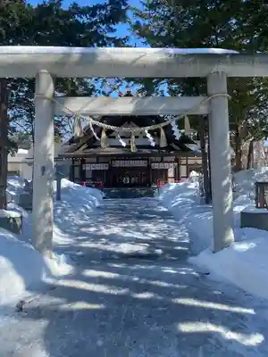 新琴似神社の鳥居