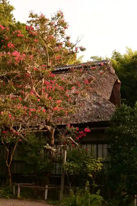 常楽寺(長野県)