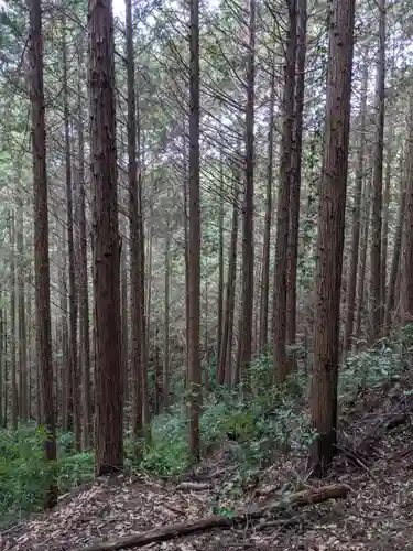 猿投神社の自然