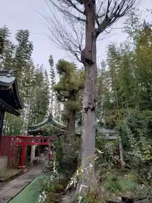 鷺宮八幡神社(東京都)