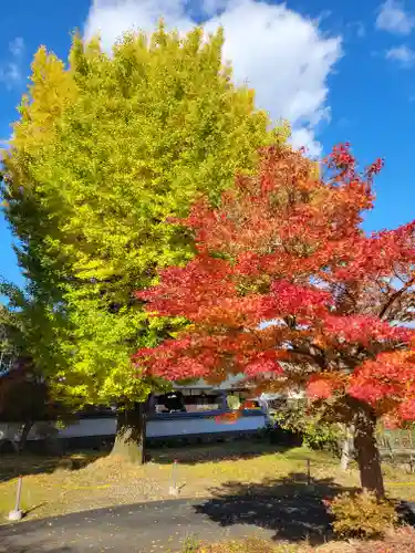 万松寺(兵庫県)