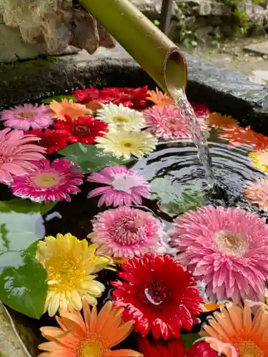 柳津虚空蔵尊 寳性院の手水舎