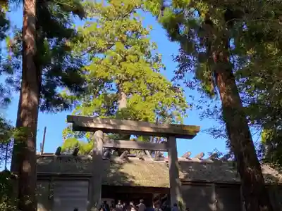 伊勢神宮内宮(皇大神宮)の本殿・本堂