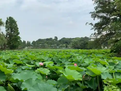 寛永寺不忍池弁天堂の庭園