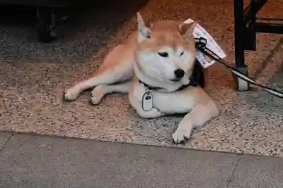 善光寺(長野県)