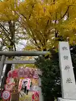札幌諏訪神社の七五三参