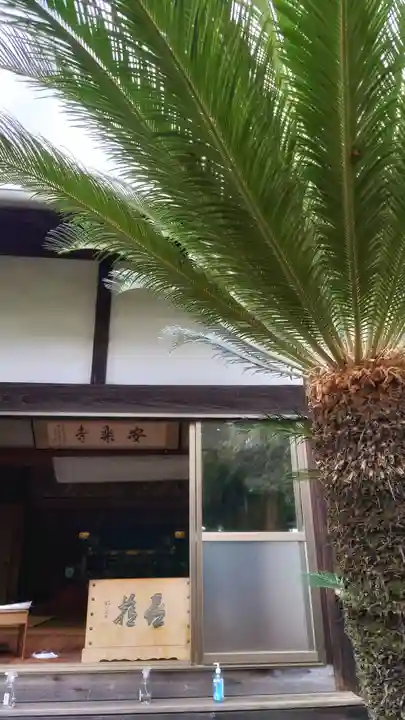 奥田山 安楽寺の本殿・本堂