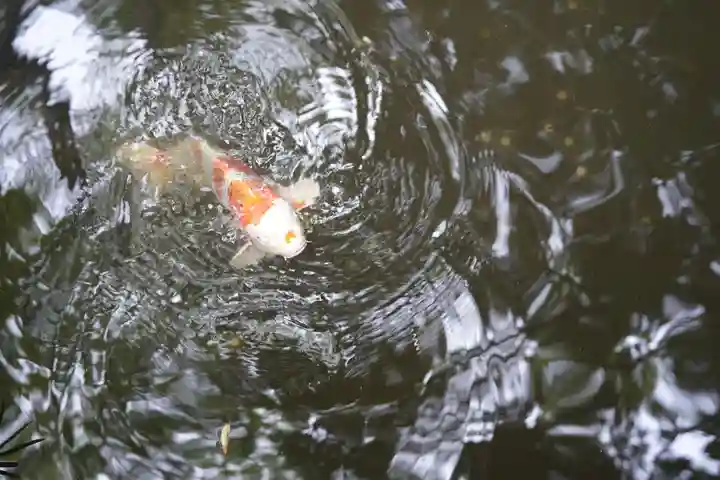 世田谷八幡宮(東京都)