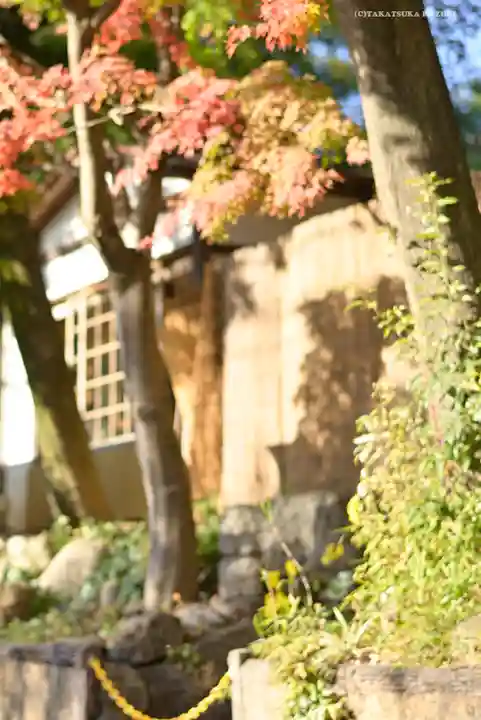 深大寺の本殿・本堂