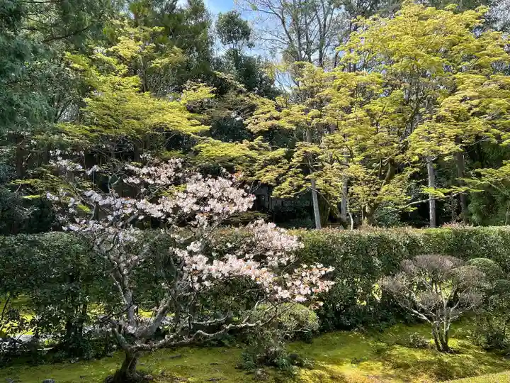 桂春院(京都府)