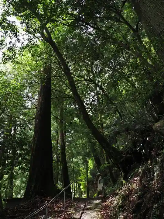 慈眼寺(徳島県)
