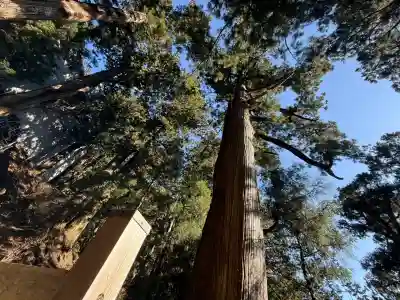 玉置神社(奈良県)