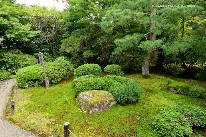 青蓮院門跡の庭園