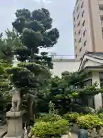 法案寺南坊の{uncategorized: "未分類", other: "その他", undefined: "問題あり", building: "その他建物", grave: "お墓", sacred_gate: "鳥居", guardian: "狛犬", statue: "像", buddha: "仏像", history: "歴史", nature: "自然", garden: "庭園", animal: "動物", pagoda: "塔", temizu: "手水舎", mountain_gate: "山門・神門", sanctuary: "本殿・本堂", subordinate: "末社・摂社", art: "芸術", scenery: "景色", jizo: "地蔵", ema: "絵馬", goshuin: "御朱印", omikuji: "おみくじ", items: "授与品その他", amulet: "お守り", goshuincho: "御朱印帳", eats: "食事", festival: "お祭り", votive_dance: "神楽", shichigosan: "七五三参", wedding: "結婚式", experience: "体験その他", initially: "初詣", around: "周辺", anti_infection: "感染症対策"}