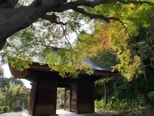 普門寺(切り絵御朱印発祥の寺)の山門