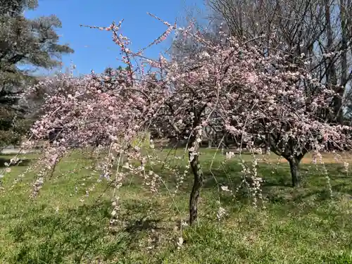 東持寺(茨城県)