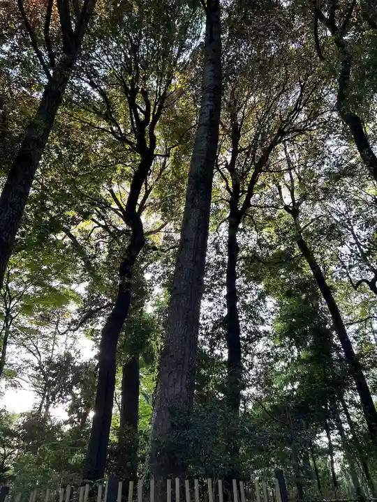 明治神宮(東京都)