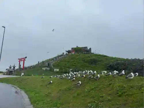 蕪嶋神社(青森県)