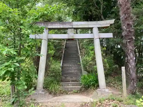 金子稲荷大明神の鳥居