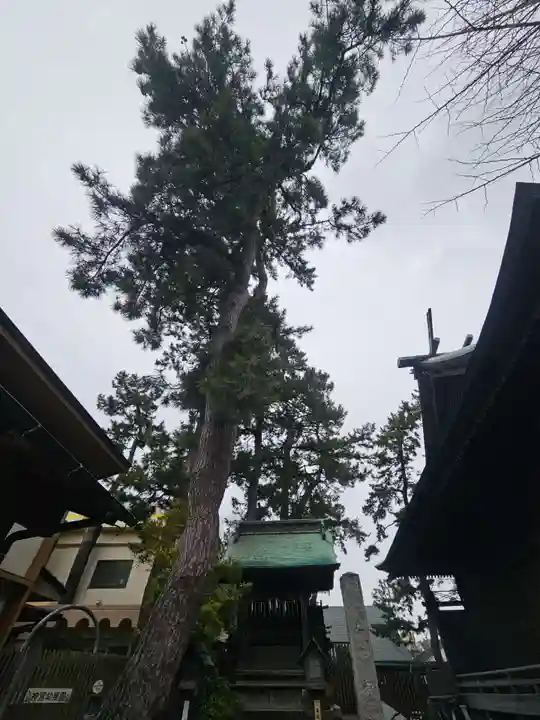 新潟大神宮(新潟県)
