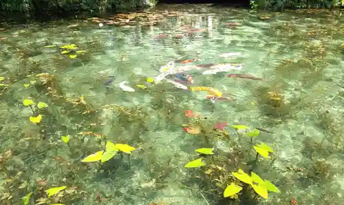 根道神社の自然