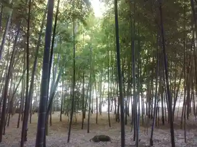 報国寺(神奈川県)