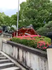 八坂神社(祇園さん)の建物その他