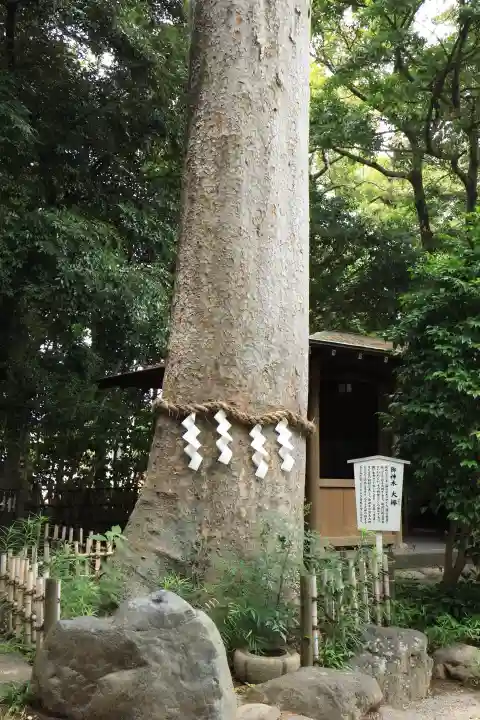 前鳥神社(神奈川県)