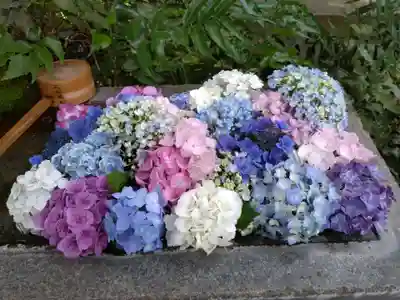 本郷氷川神社(東京都)