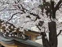 浅草富士浅間神社の自然