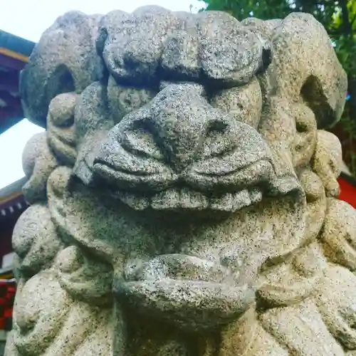 神田神社（神田明神）の狛犬