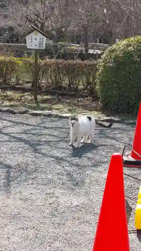 三嶋大社(静岡県)