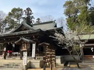 朝日森天満宮の本殿・本堂