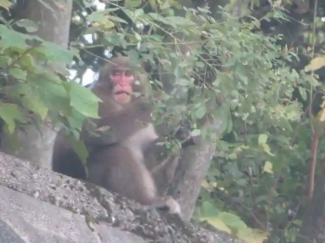 中山寺(福井県)