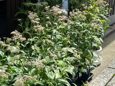 下御霊神社(京都府)