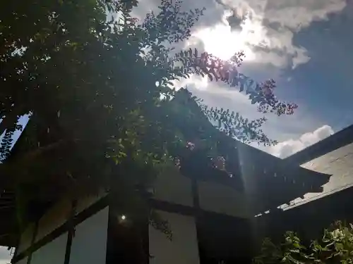 天龍寺(京都府)