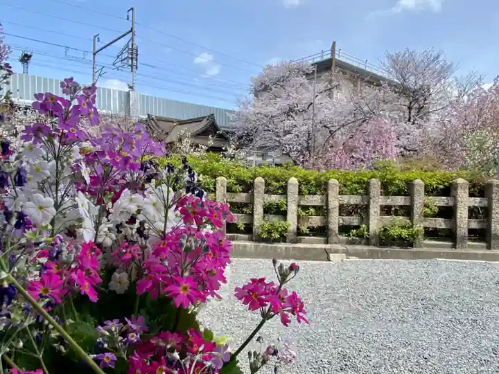六孫王神社の自然