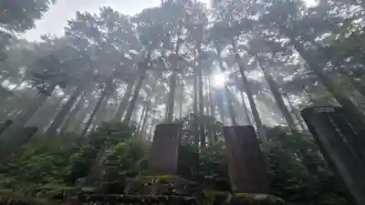 三峯神社(埼玉県)