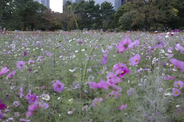 旧稲生神社(東京都)