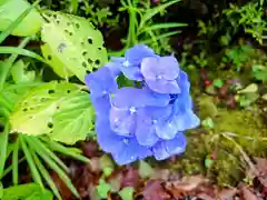 光触寺(神奈川県)