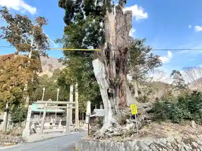 熊野神社(滋賀県)