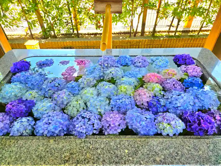 桜神宮(東京都)