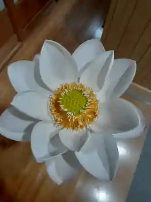 伏木香取神社(茨城県)