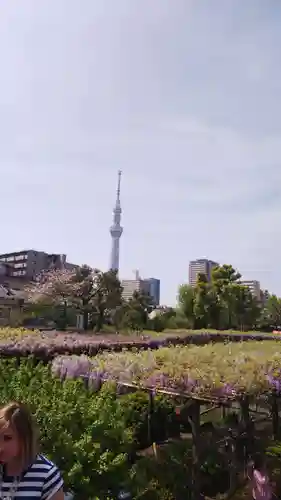 亀戸天神社の庭園