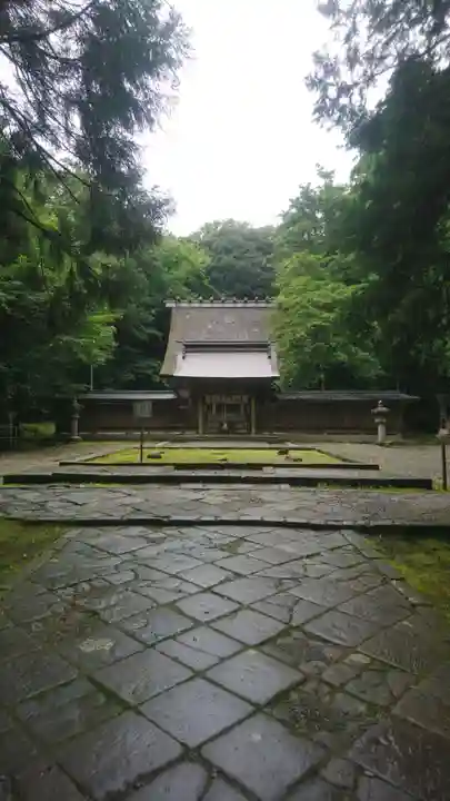 若狭彦神社(上社)の本殿・本堂