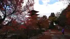 成相寺の建物その他