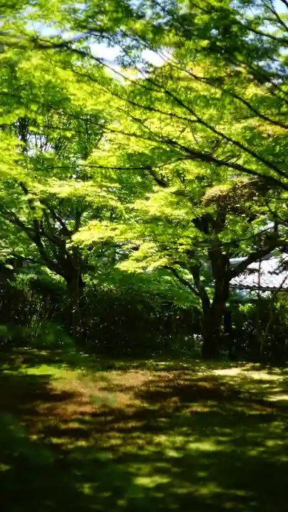 三千院門跡(京都府)