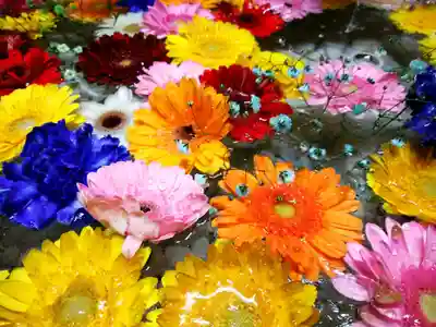 札幌諏訪神社の手水舎