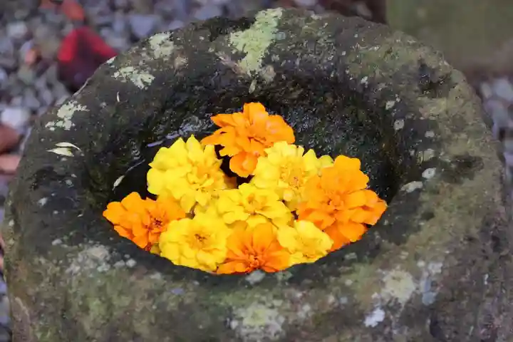 阿久津「田村神社」(郡山市阿久津町)旧社名:伊豆箱根三嶋三社の手水舎
