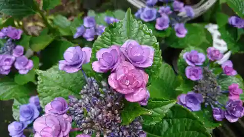 阿邪訶根神社の自然